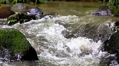 4k实拍清凉夏日溪流河流水流视频的预览图
